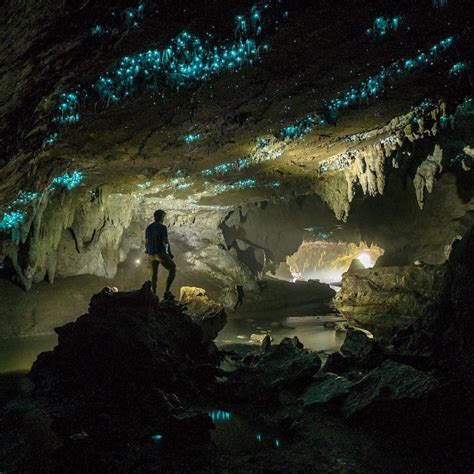 Ruakuri cave in New Zealand - Traveler Master