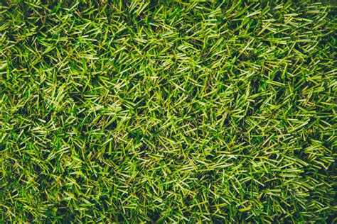 Artificial Turf vs Grass: A Comparative Guide With Pros and Cons | General Sports Surfaces