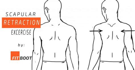 Scapular Retraction - Exercise for your Shoulder