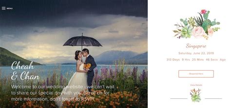 20 Creative Wedding Website Examples - Joy