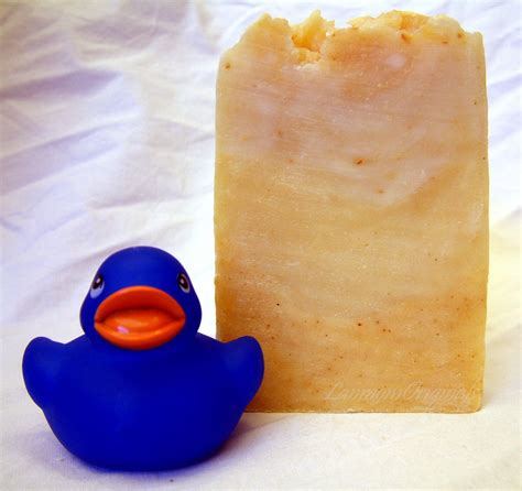 Summer Soap Cucumber Melon Natural Soaps, Gentle Exfoliator, Vegan Soap ...