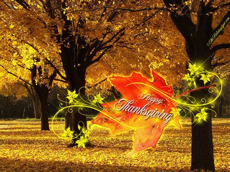 Free Animated Thanksgiving Desktop Wallpaper - WallpaperSafari