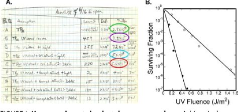 Figure 1 from Structure and Function of Photolyase and in Vivo Enzymology: 50th Anniversary ...