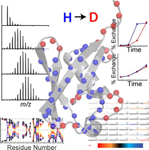 Advances in Hydrogen/Deuterium Exchange Mass Spectrometry and the Pursuit of Challenging ...