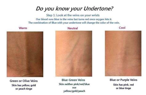 Undertones, color chart, Younique Colors For Skin Tone, Skin Color ...