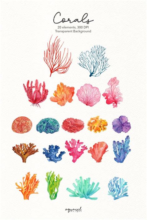 Watercolor Coral Reef, Coral Reef Art, Watercolor Art, Coral Reef Drawing, Coral Painting, Coral ...