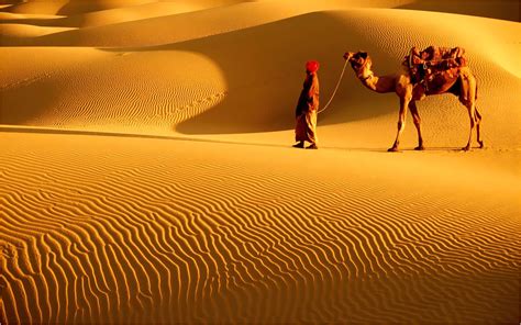 Cool facts about Rajasthan you didn’t know – Part 2 | Deserts of the world, Largest desert ...