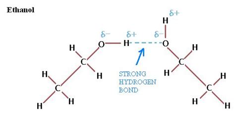 organic chemistry - Why can't alcohols form hydrogen-bonded dimers like carboxylic acids ...