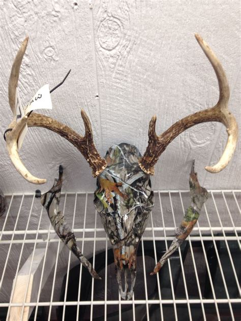 Whitetail deer buck skull and jaw hydro dipped in next vista camo ...