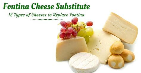 Fontina Cheese Substitute - 12 Types of Cheeses to Replace Fontina