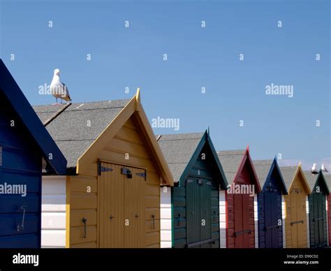 Beach huts, Dawlish Warren, Devon, UK Stock Photo - Alamy