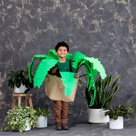 House Plant Costume