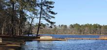 Little Pee Dee State Park - Campsite Photos, Camp Info & Reservations