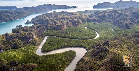 Langkawi Geopark Mangrove Tour | Travel Langkawi_XQ Holidays