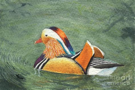 Mandarin Duck Painting by Lynn Quinn