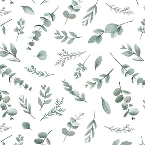 Eucalyptus leaves wallpaper - GREENERY