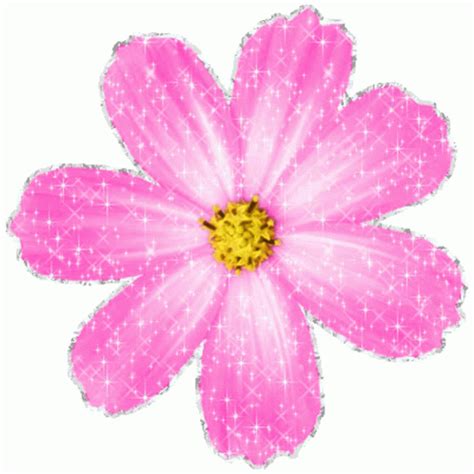 Beautifull Flower Sparkle Sticker - Beautifull Flower Sparkle Glitter - Discover & Share GIFs