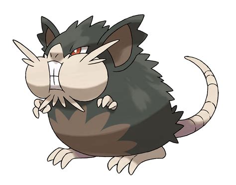 Pokemon Sun and Moon - Raticate Alola Form