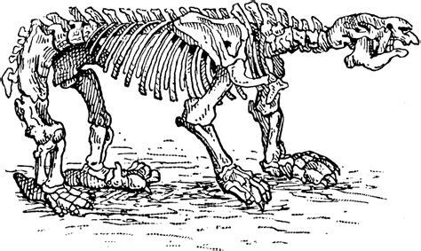 Megatherium Skeleton | ClipArt ETC