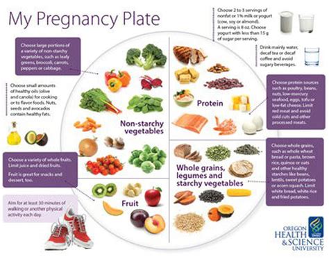 'My Pregnancy Plate' helps moms-to-be with nutrition - oregonlive.com