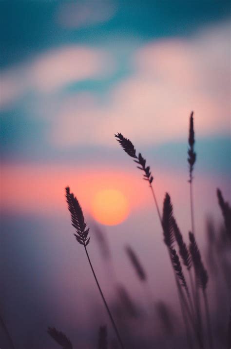 Dusk Wallpapers - Top Free Dusk Backgrounds - WallpaperAccess