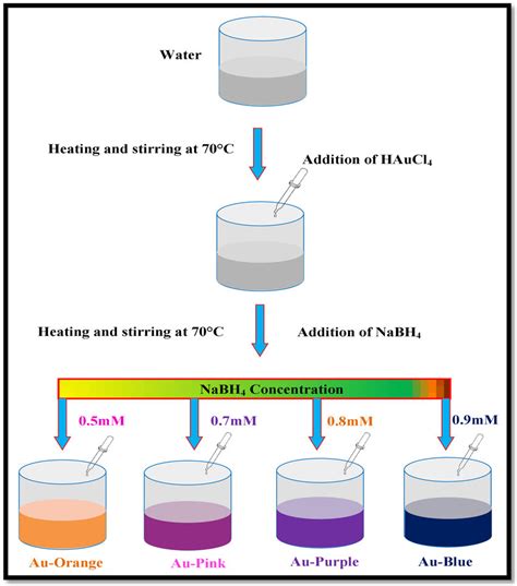 Schematic illustration of synthesis procedure of gold nanoparticles ...