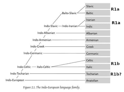 Proto-Indo-European and haplogroups – Gene Expression