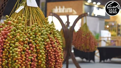 19th Liwa Date Festival begins in Abu Dhabi - YouTube