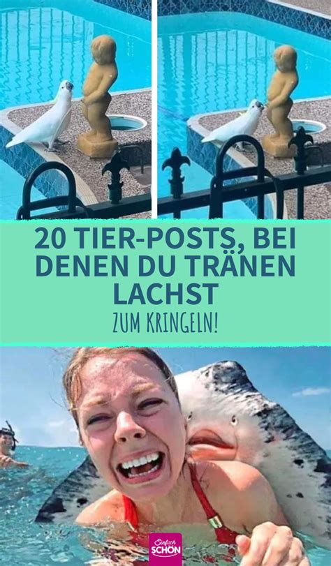 20 Tier-Posts, bei denen du Tränen lachst #lustigetierfotos #haustiere #keinescham #etikette # ...