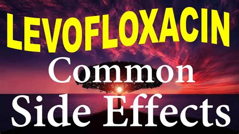 LEVOFLOXACIN: Common side effects - YouTube