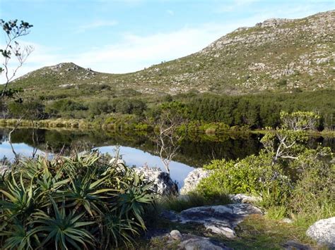 Silvermine Nature Reserve | Cape Town Outdoor Attraction - St James ...