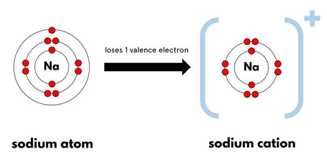 How to find the cation and anion in a compound? | O Level Chemistry