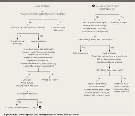 [PDF] Kidney Stones: Treatment and Prevention. | Semantic Scholar