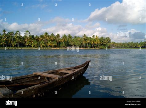 Serene View of Kerala Backwaters Scenery and Wide Angle View of Coconut ...