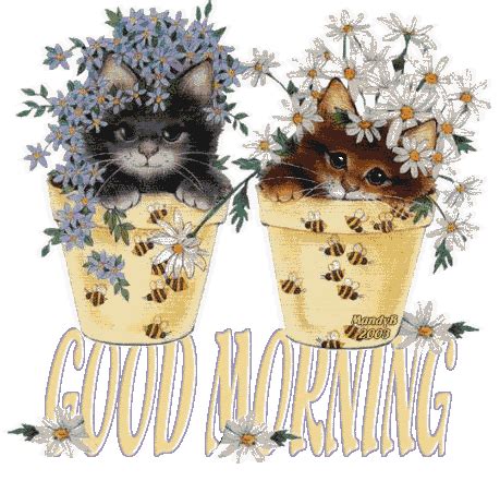 Good Morning – Cat Animated Image - Good Morning Wishes & Images