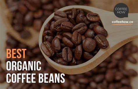 10 Best Organic Coffee Beans Reviewed 2022 - Guide to Certified Organic