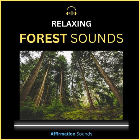 Forest Sounds Audio Relaxing Deep Forest Sound Effect for Sleeping ...