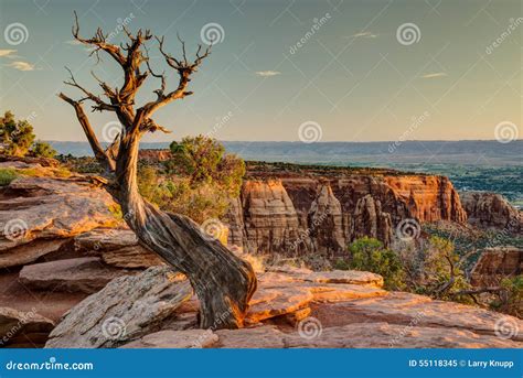 Colorado National Monument at Sunrise Stock Image - Image of park, rocks: 55118345