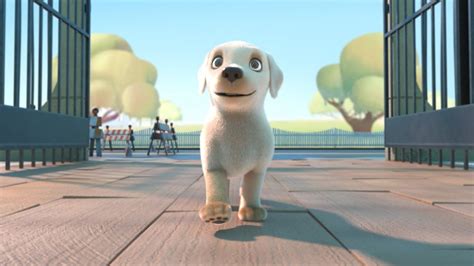 Pip | A short animated film about a small service dog with a large heart | Animals | Happy music ...