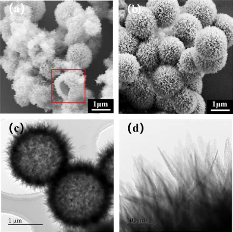 SEM images (a, b) of the obtained microspheres in the inner and outer ...