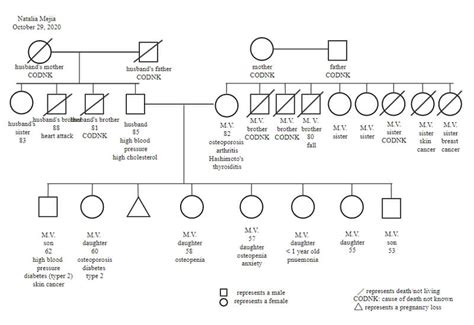 Genogram Template Social Work - prntbl.concejomunicipaldechinu.gov.co