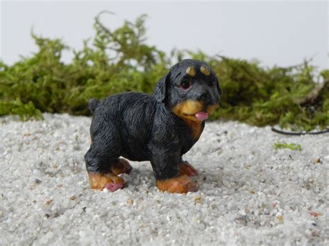 Miniature Rottweiler Puppy Dog fairy garden pet fairy garden