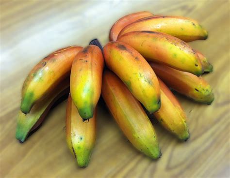 Celebrate Maui: Sharing Rare Red Bananas From My Back Yard