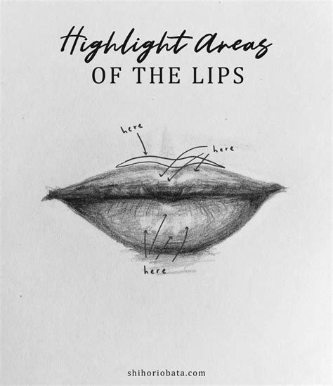 How to Draw Realistic Lips Step by Step