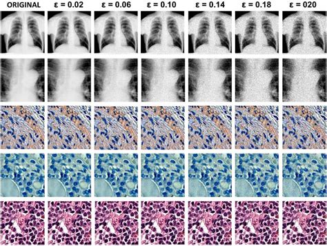 Examples of original images and their adversarial versions with... | Download Scientific Diagram