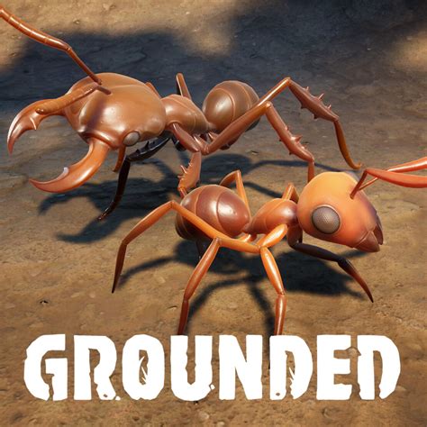 ArtStation - Grounded Ants