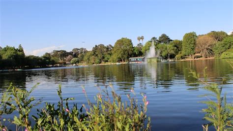 Zoo Lake | Johannesburg, South Africa | Attractions - Lonely Planet