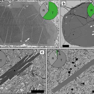 Plagioclase crystal habits. a Tabular plagioclase showing internal ...