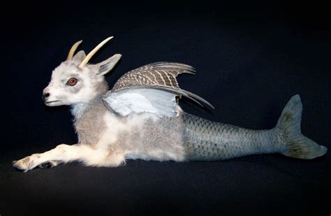 From Specimen to Taxidermy in Art | DailyArt Magazine