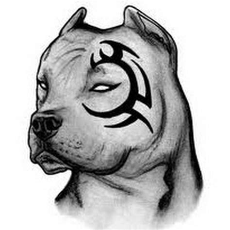 Pitbull tattoo, Bull tattoos, Pitbull art